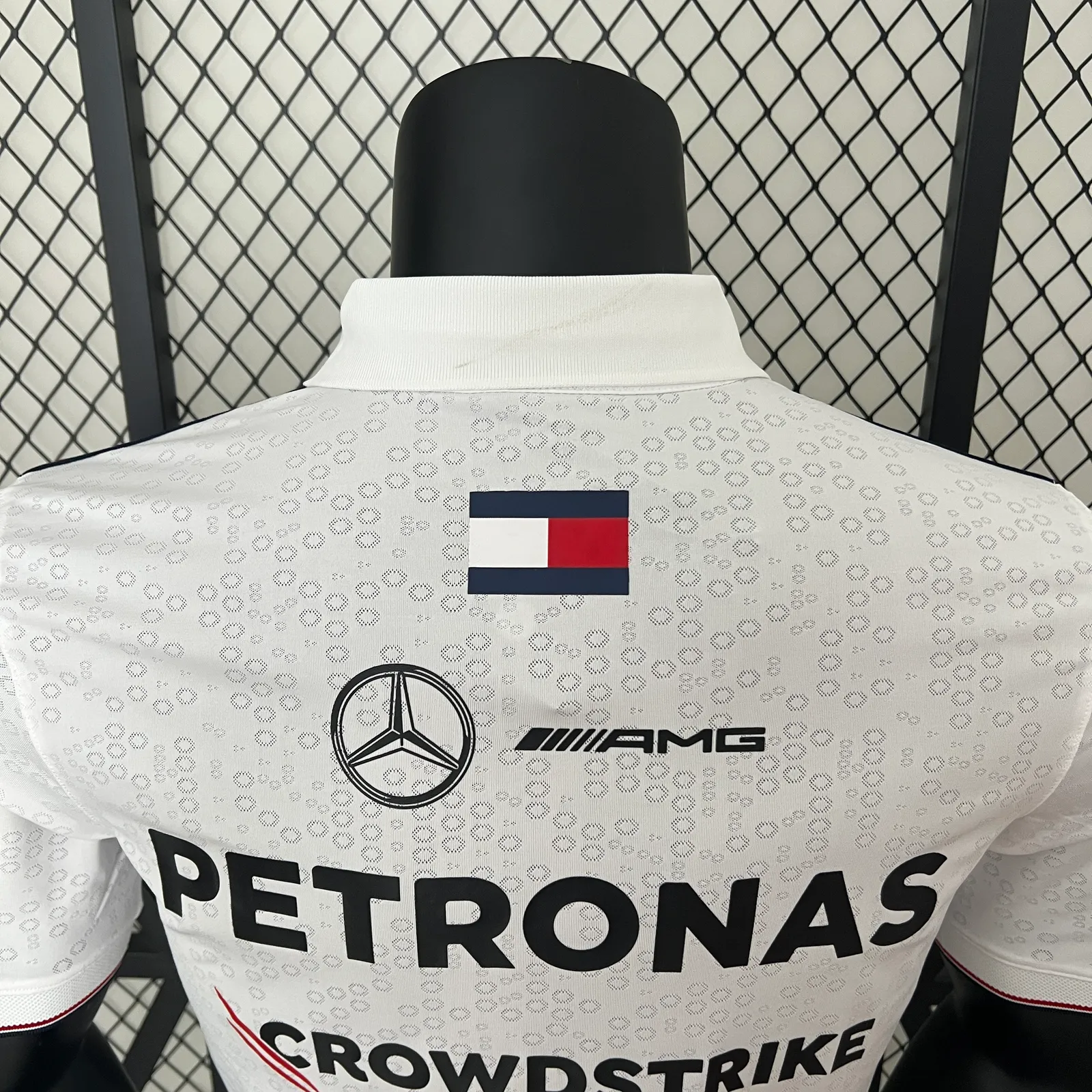2024 polo F1 Formula One