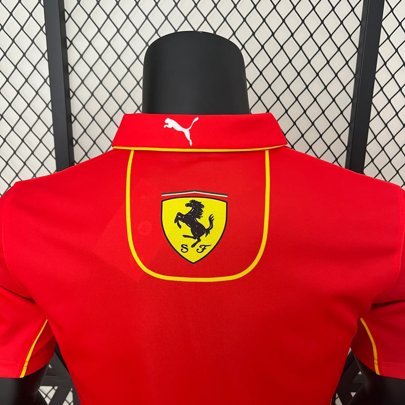 2024 polo F1 Formula One