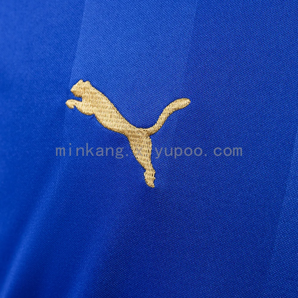 Leicester City 15/16 Home Retro Jersey — 2/2