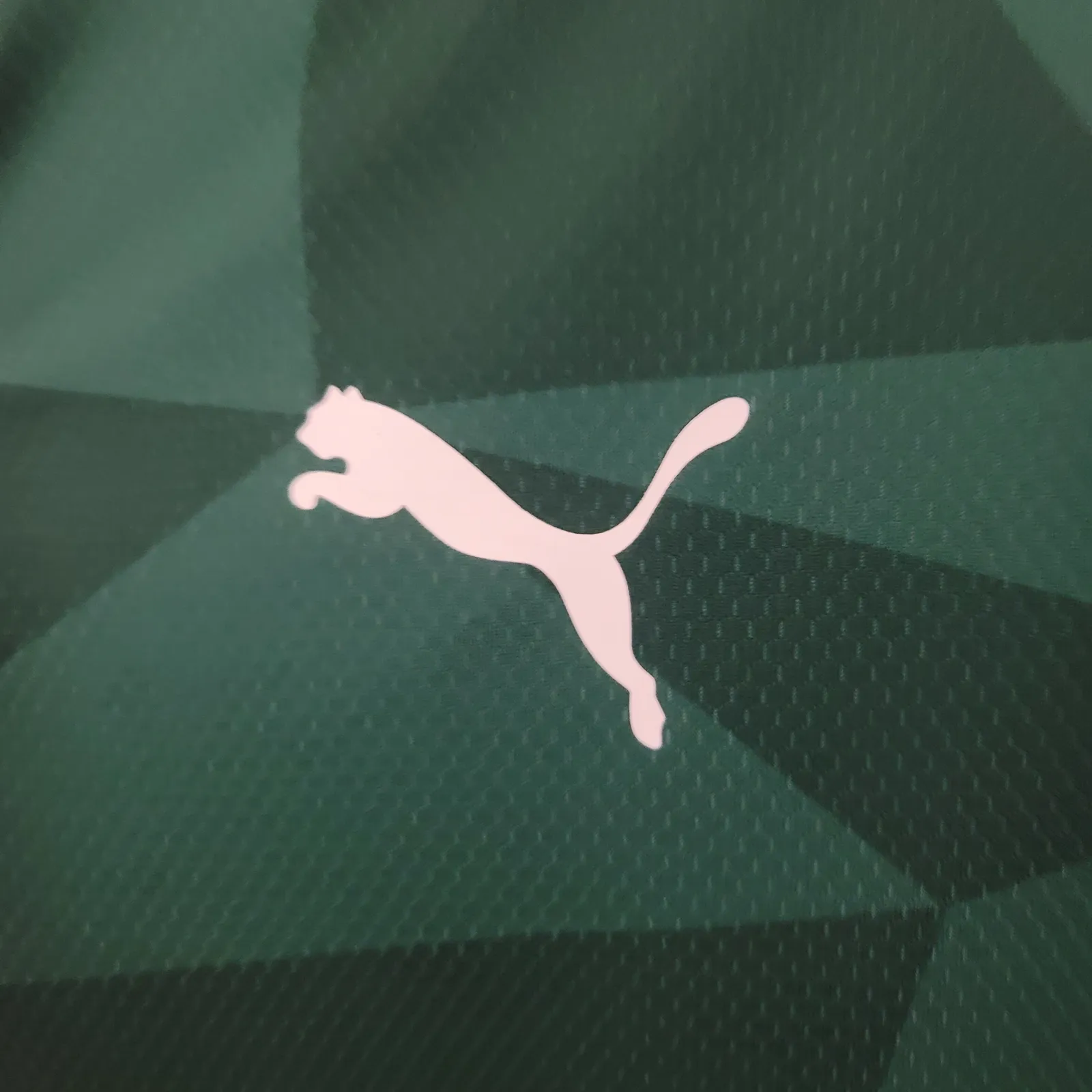 23/24 Palmeiras home/ — 2/2