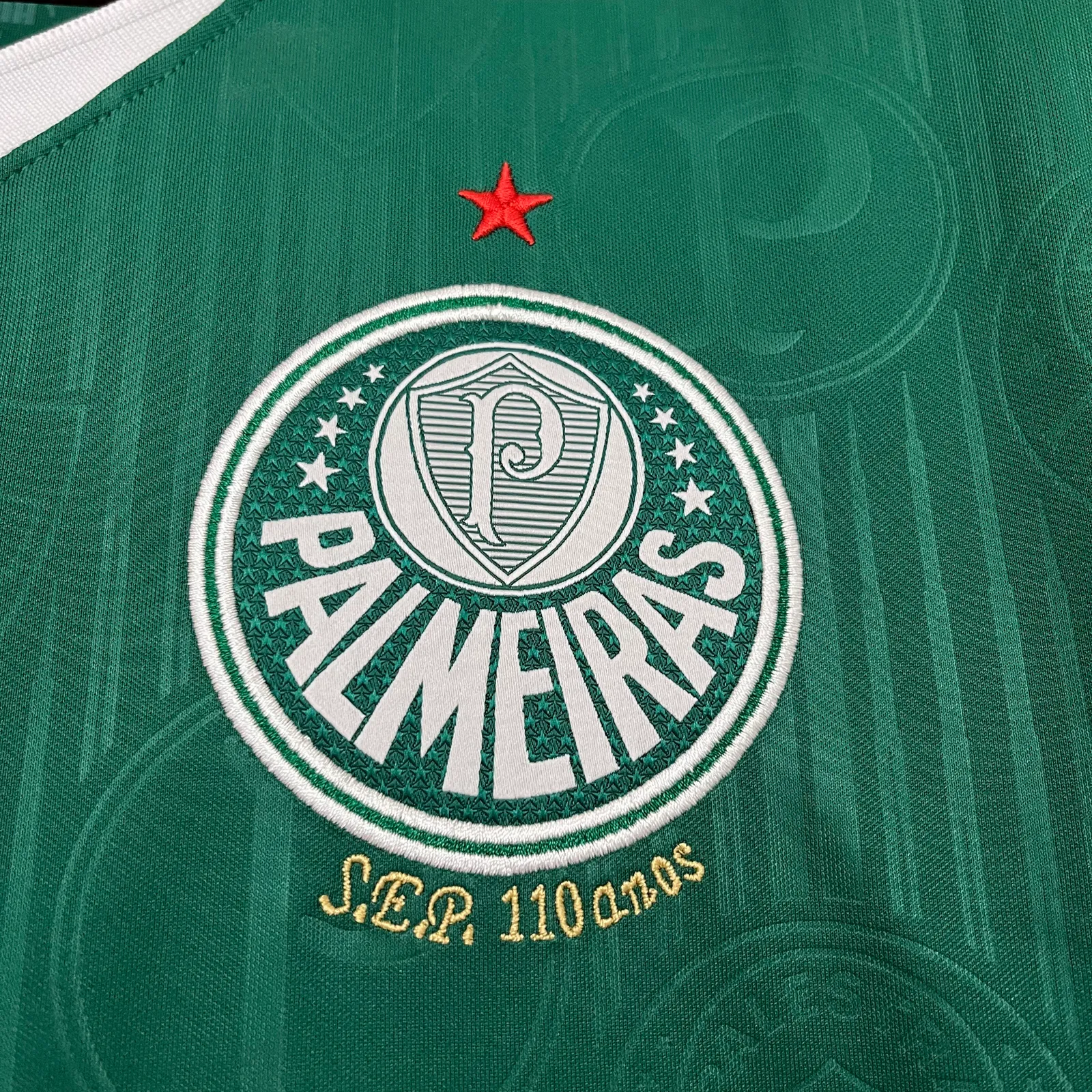 2024/25 Palmeiras home S-XXXXL