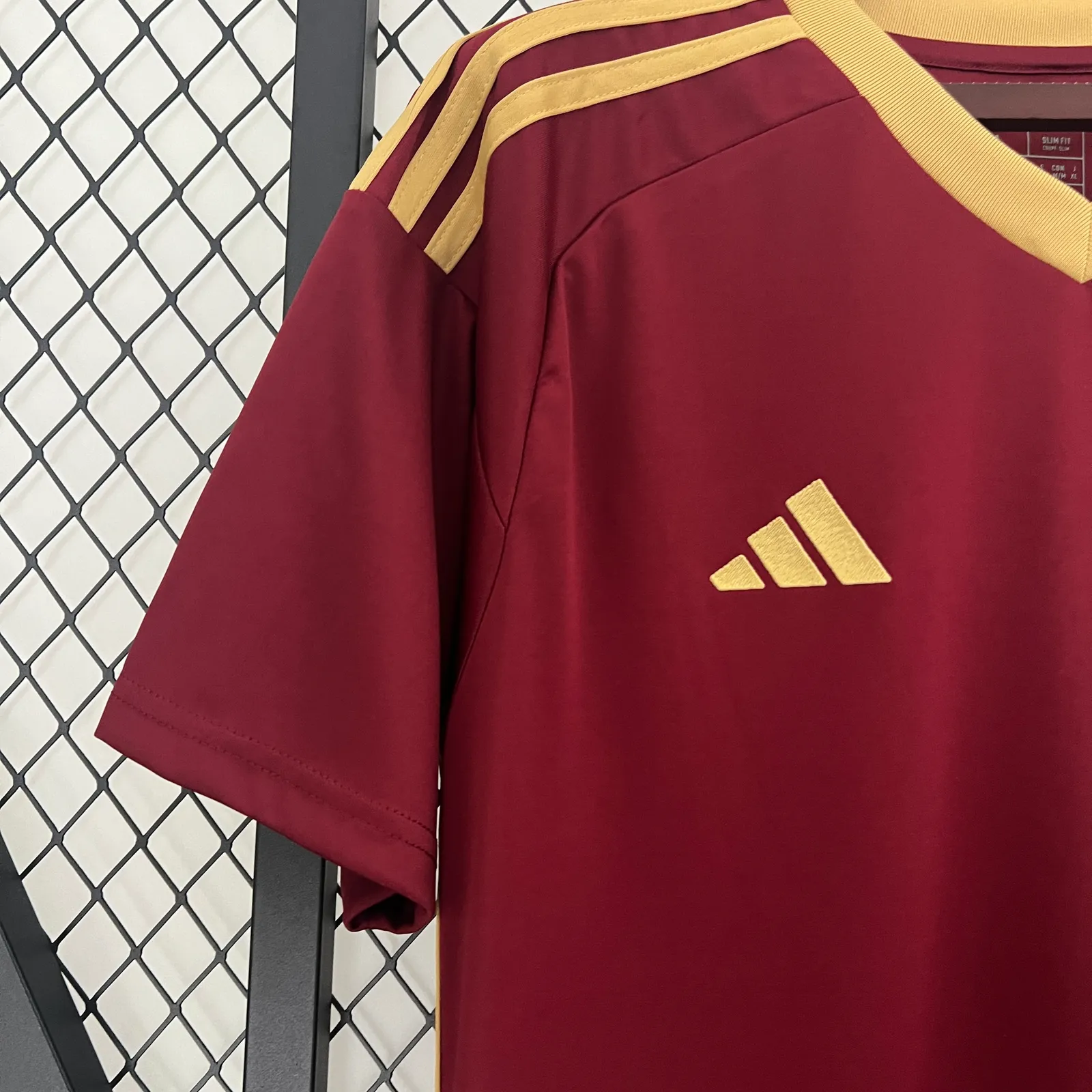 2024 Venezuela Home — 1/2