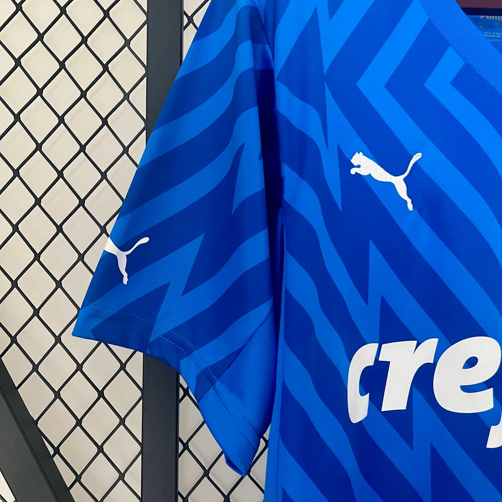 24/25 Goalkeeper Palmeiras Blue — 2/2