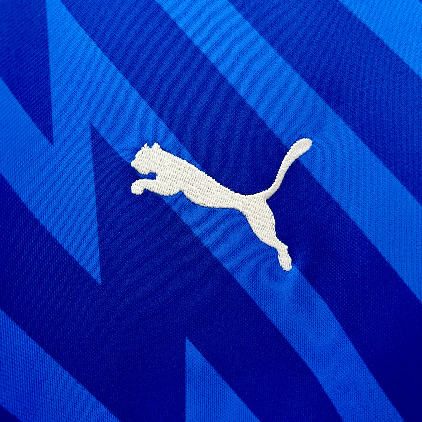 24/25 Goalkeeper Palmeiras Blue — 1/2