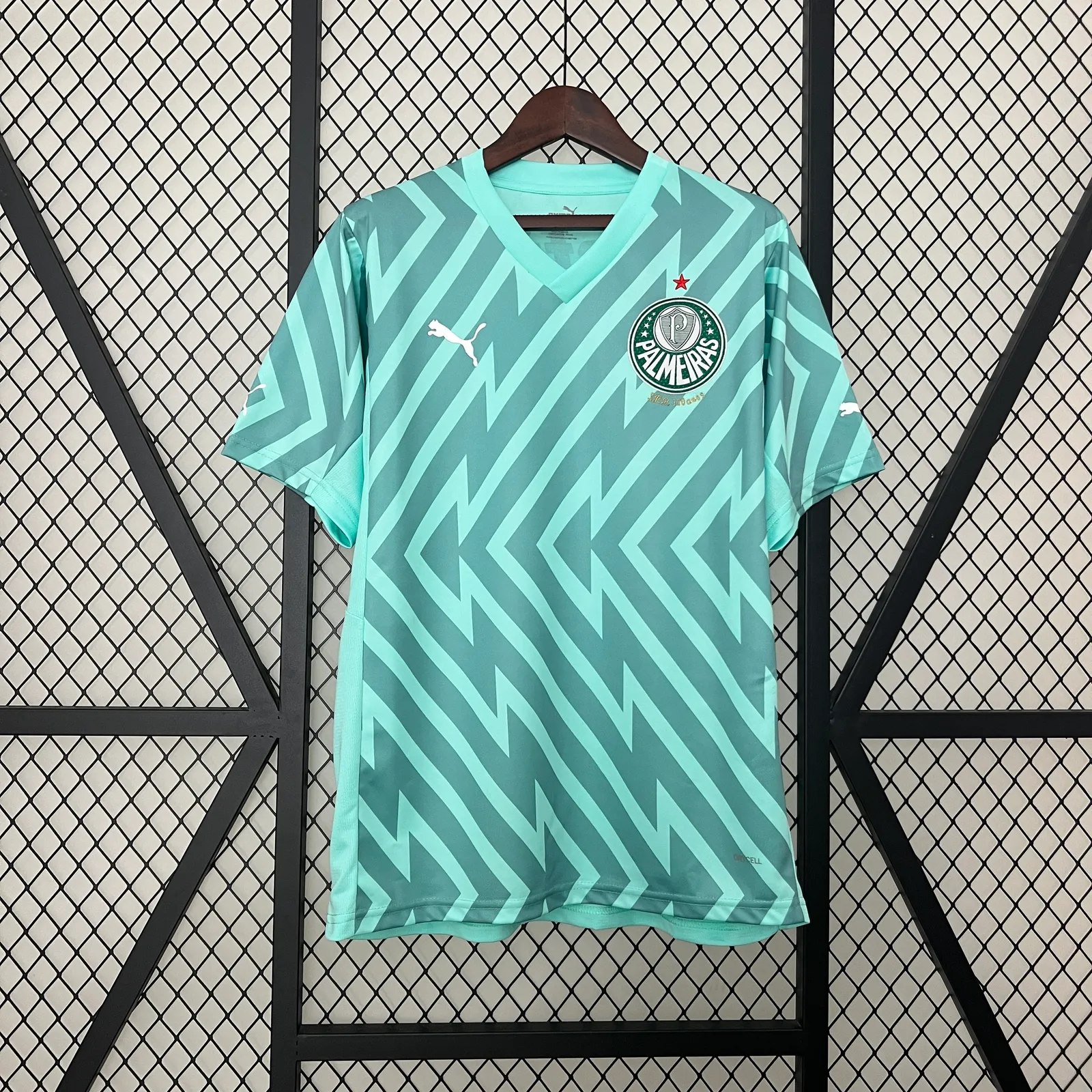 24/25 Palmeiras Goalkeeper — 1/2
