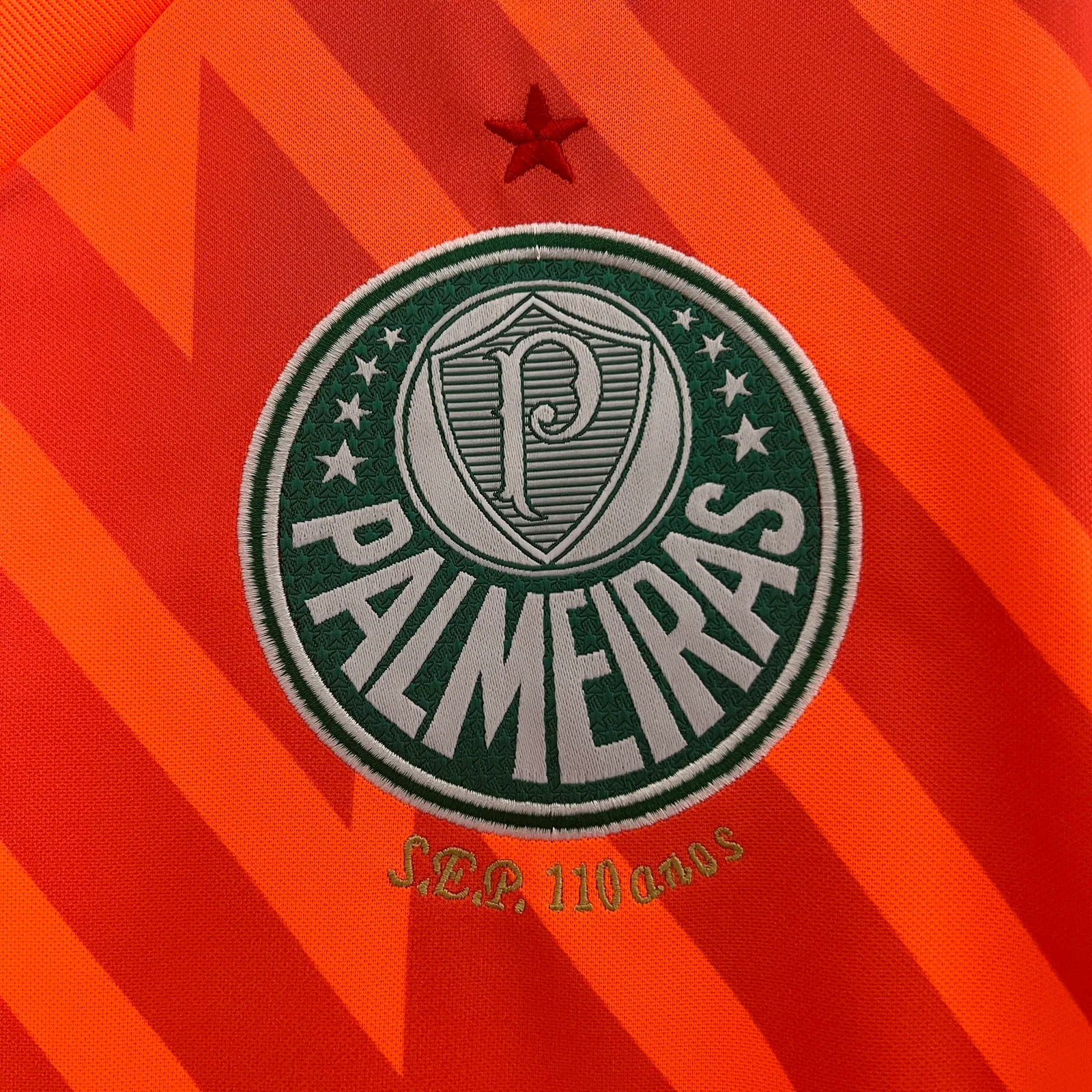 24/25 Palmeiras Goalkeeper — 1/2
