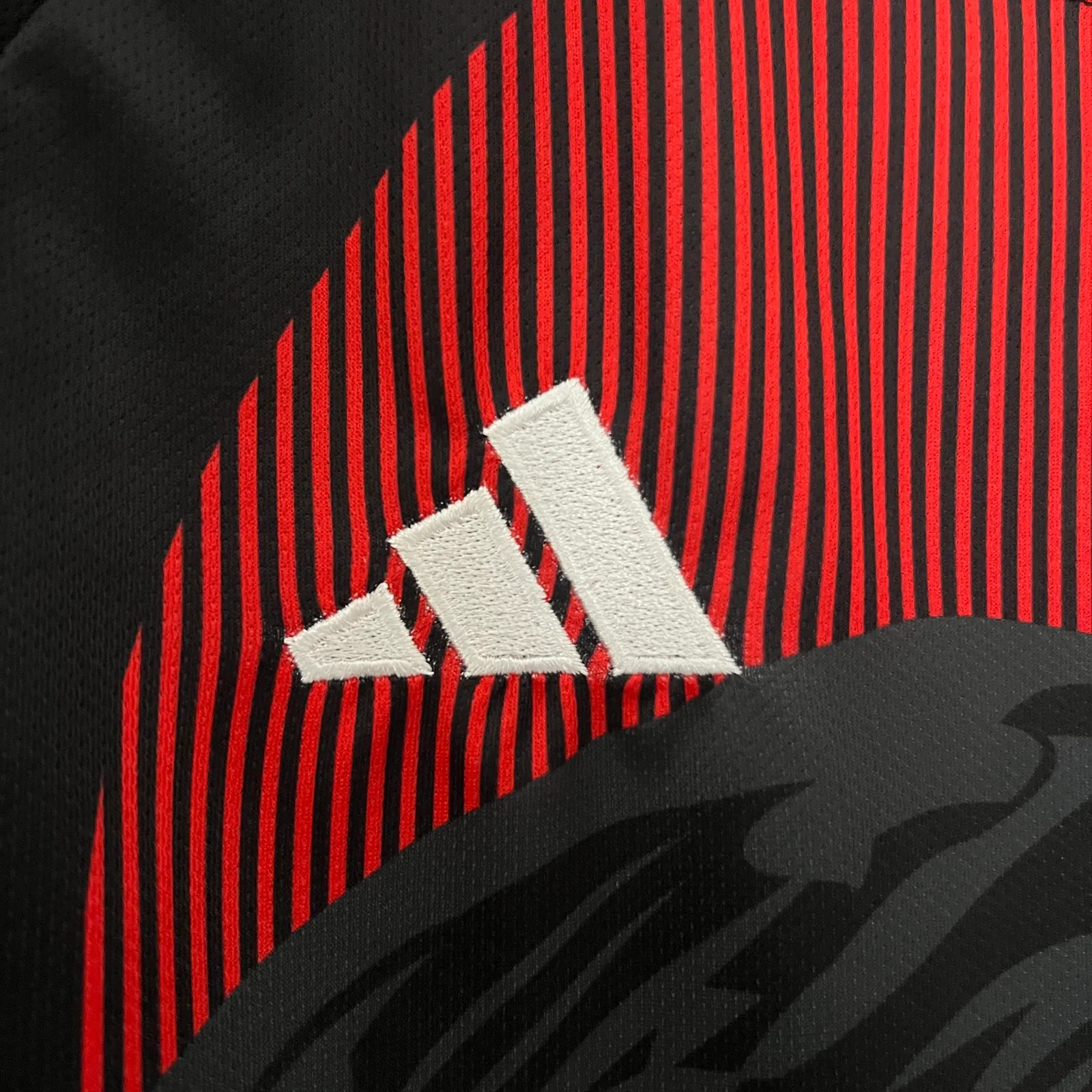 2024 Japan Special Edition — 1/2