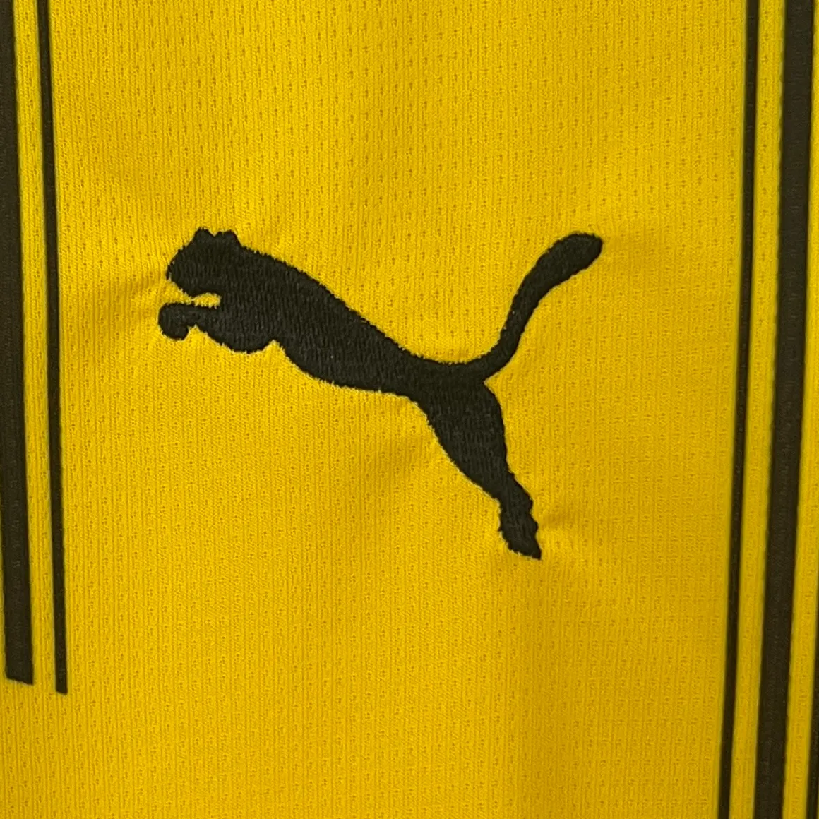 24/25 Dortmund Home