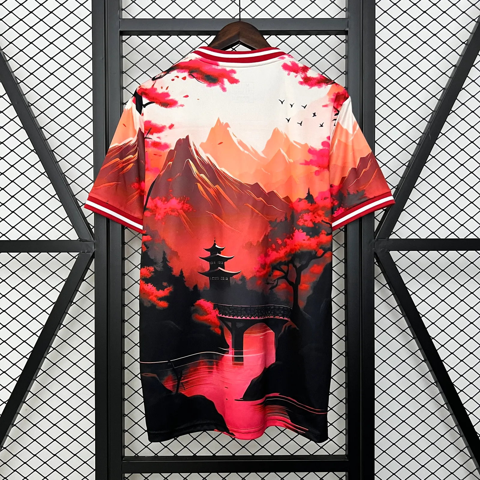 2024 Japan Special Edition — 2/2