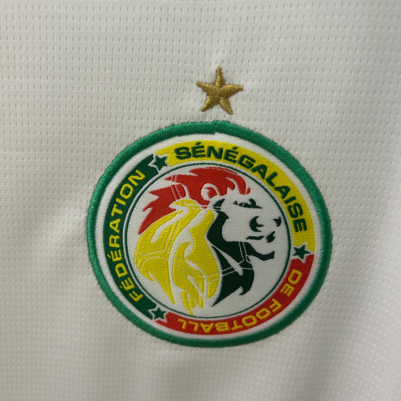 2025 Senegal home