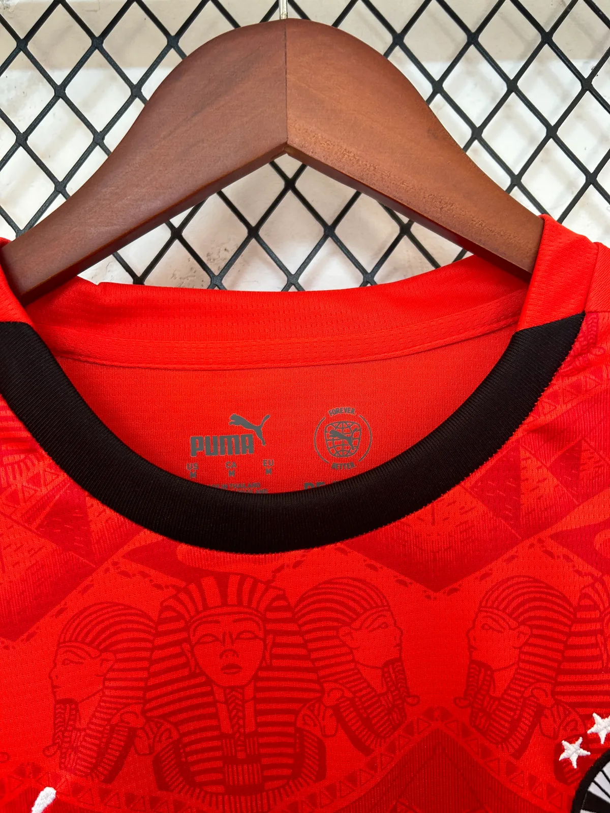 2025 Egypt Home — 2/2