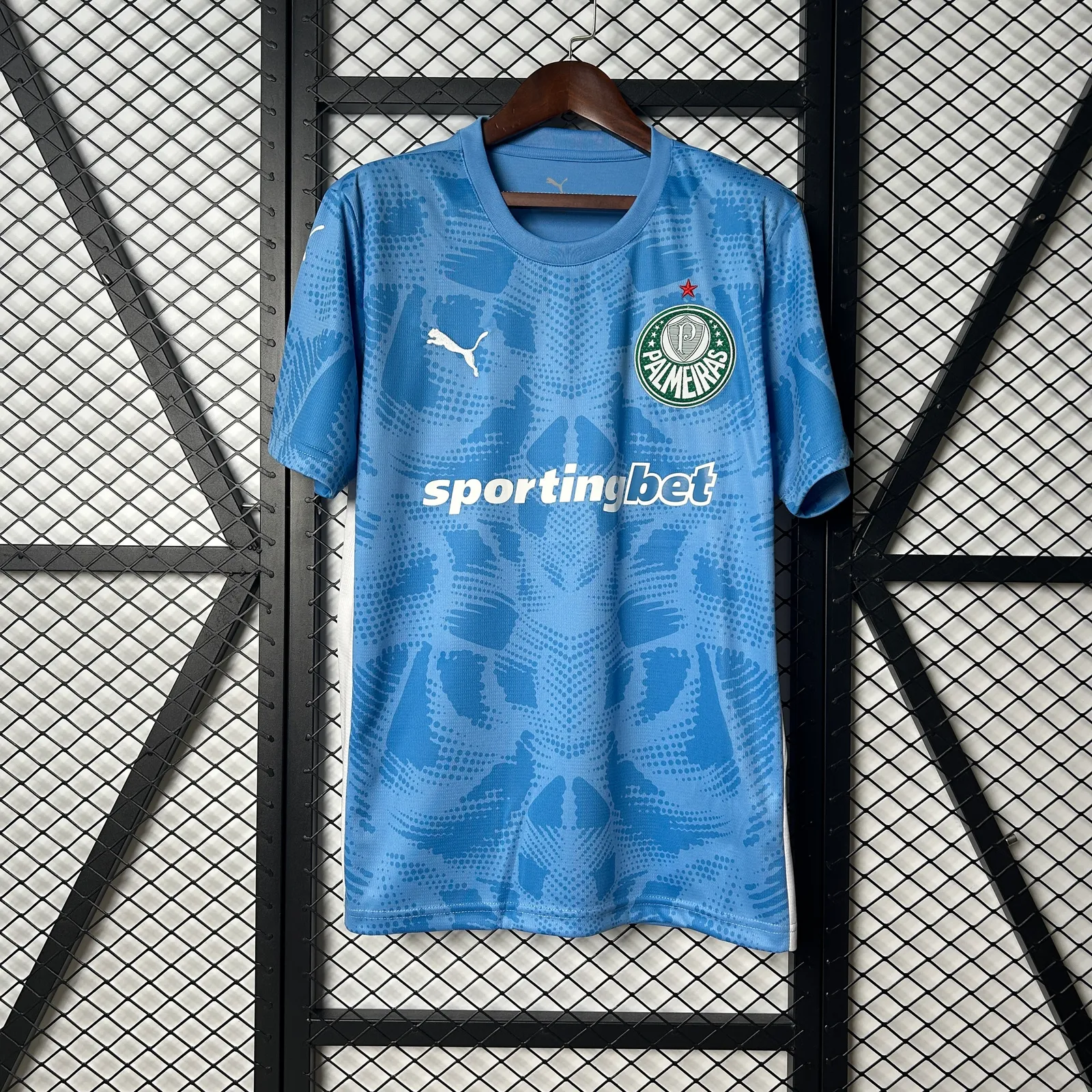 25/26 Palmeiras Goalkeeper — 2/2