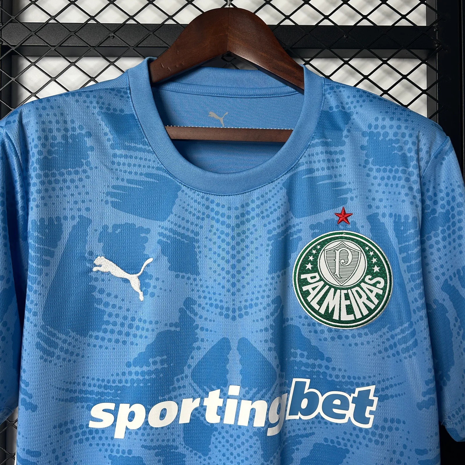 25/26 Palmeiras Goalkeeper