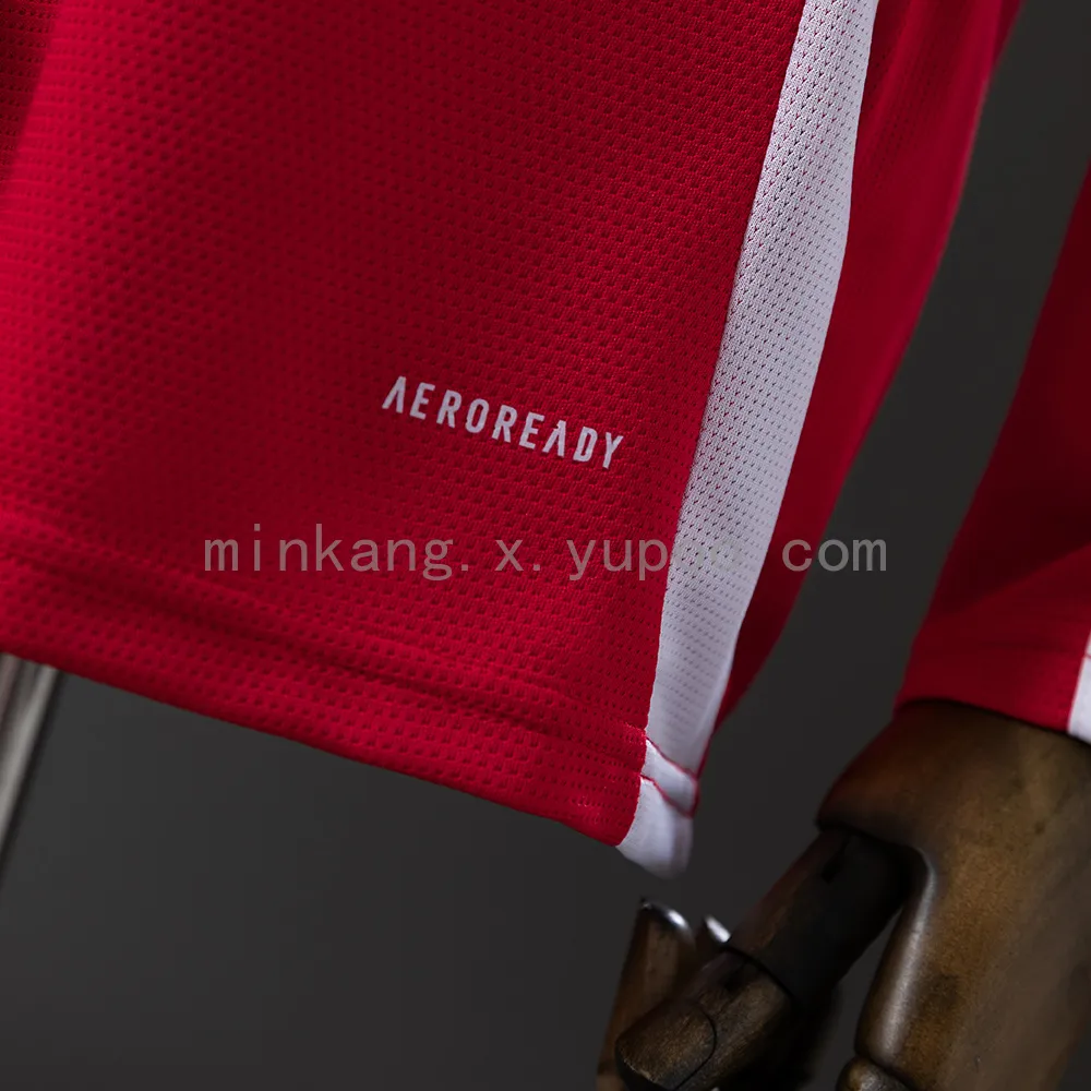 25/26 Long sleeve Brazil Internacional Home
