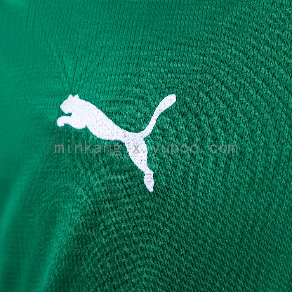 25/26 Palmeiras home All Sponsor — 2/2