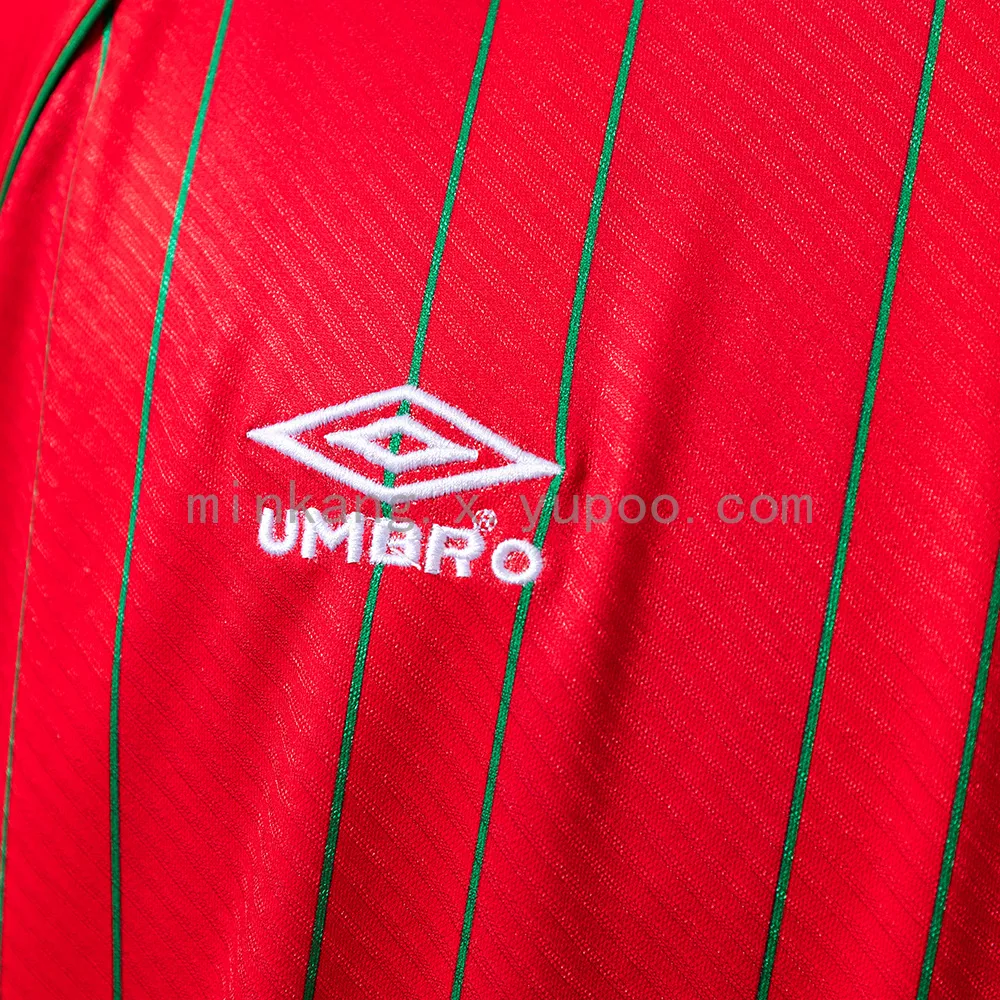 Wales 1994/96 Home Retro Jersey — 2/2