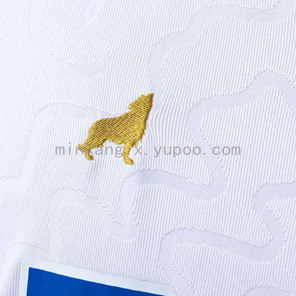 Paysandu 25/26 Away Jersey — 2/2