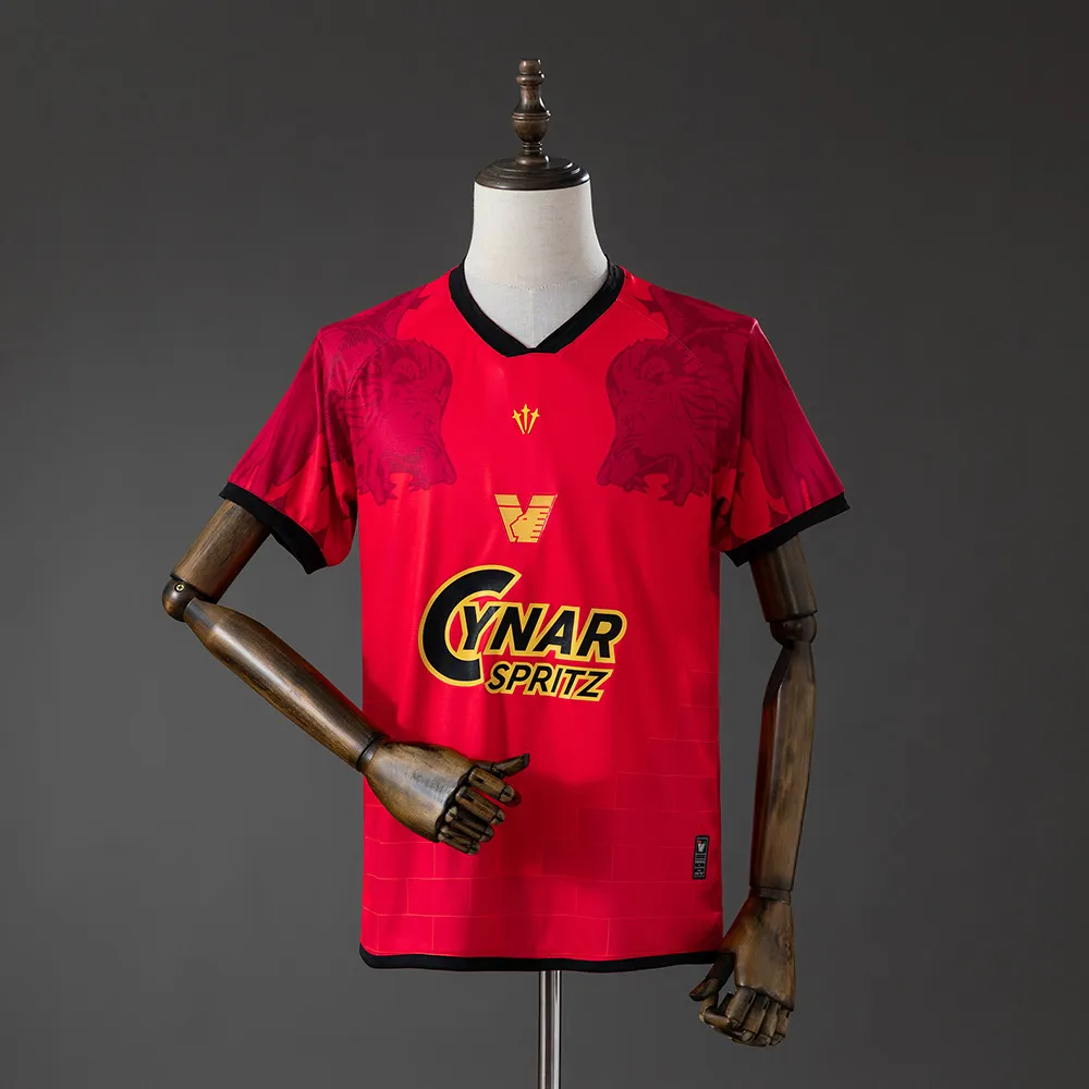 Venezia 25/26 Special Edition Fourth Jersey