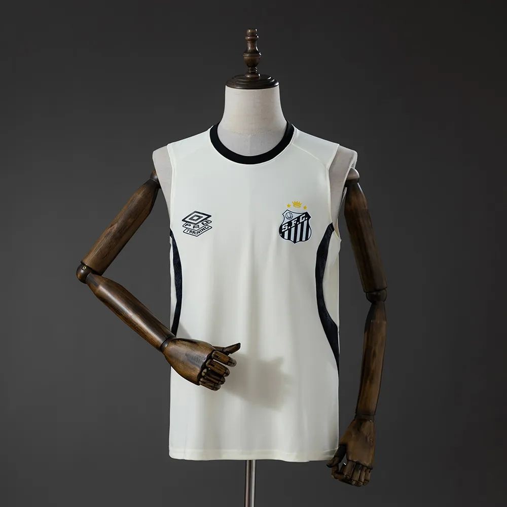 Santos 26/27 Training Vest Beige