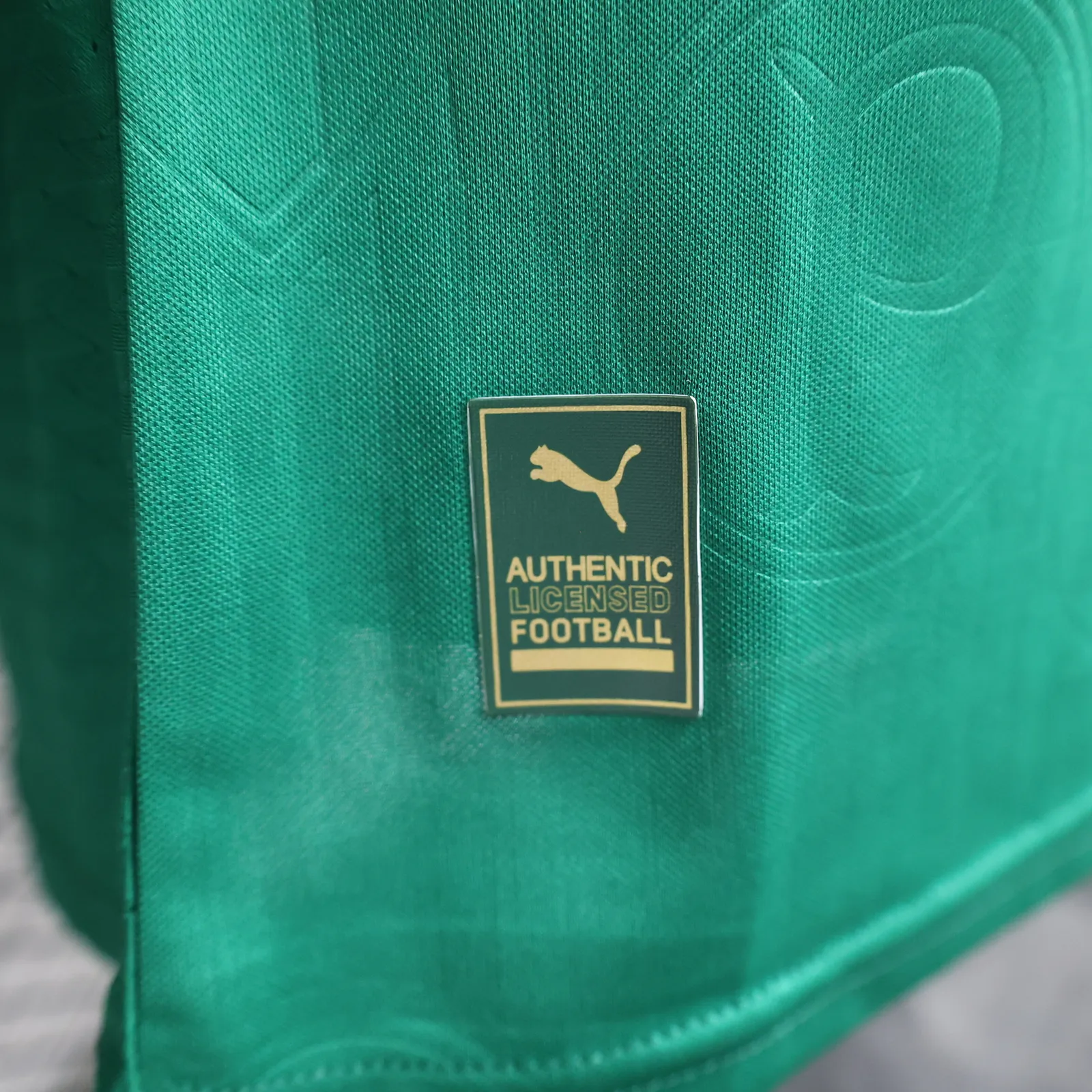 24/25 Player Version Palmeiras Home — 2/2