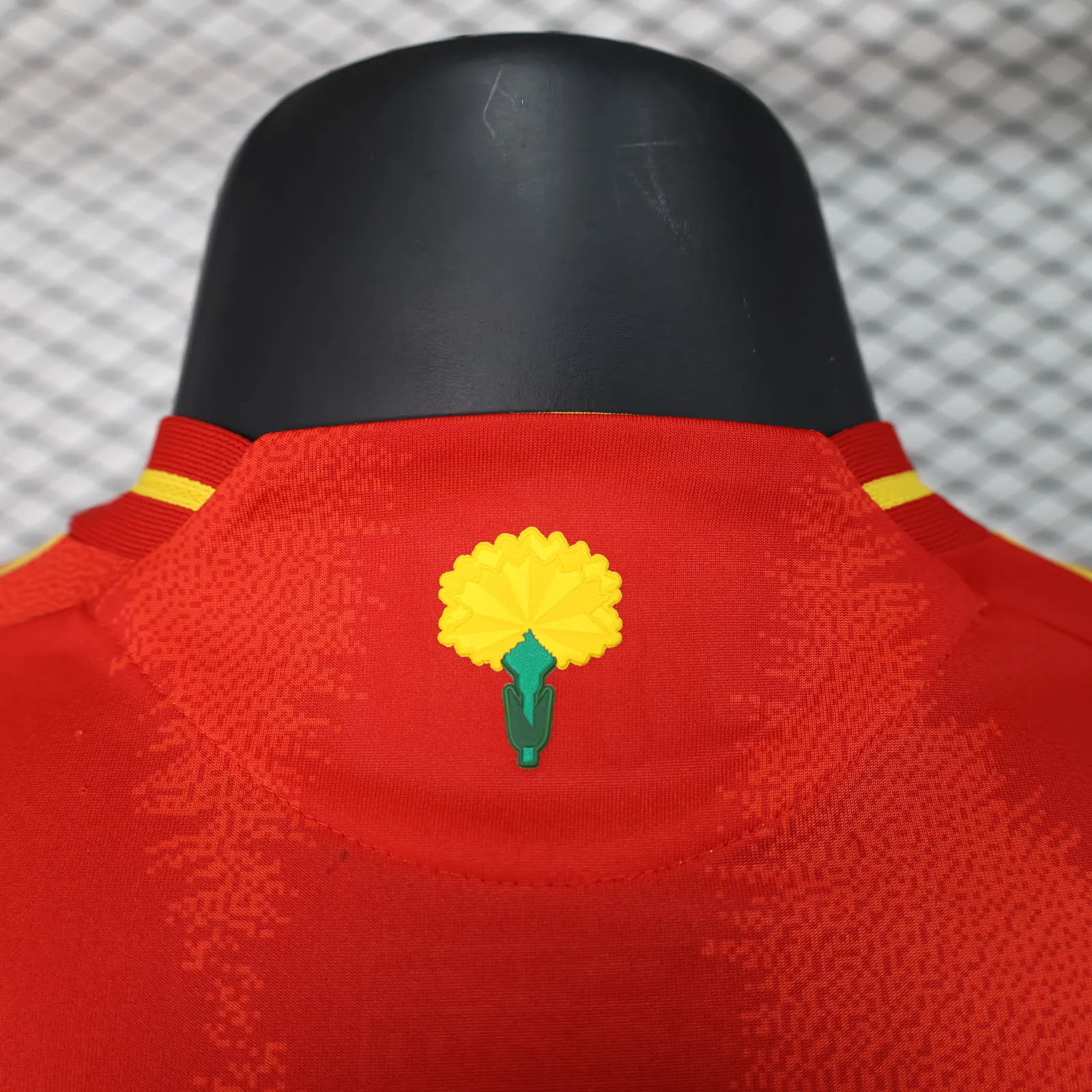 2024 player Spain Home