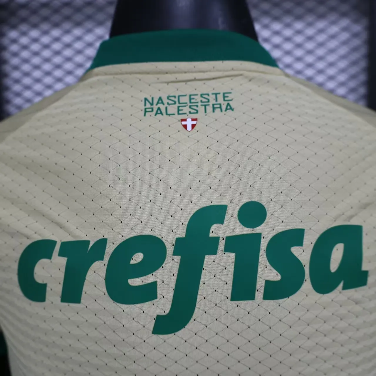 24/25 Player Palmeiras